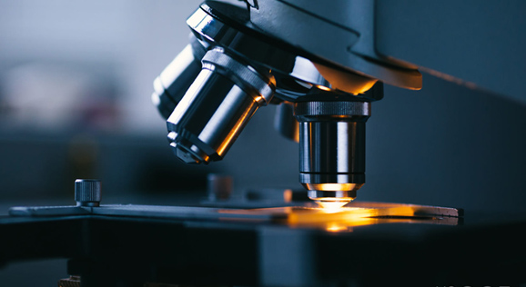 beat·365(中国)唯一官方网站